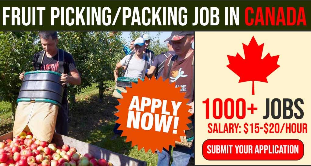 Employment of Fruit Pickers and Packers in Canada 2023