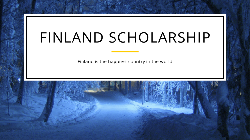 2023/2024 Partial Finland Scholarship for International Students