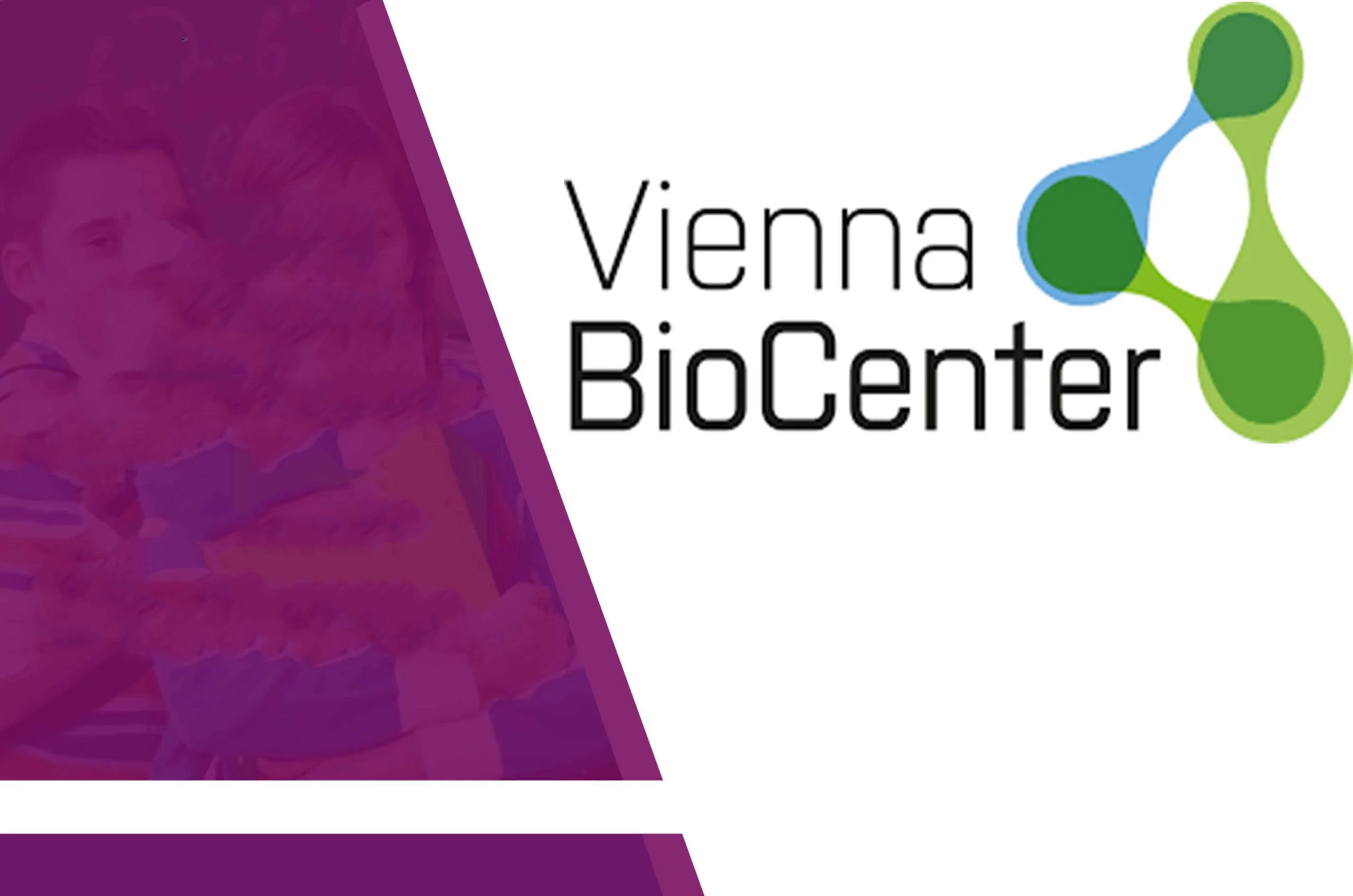 2023 Fully funded Vienna Biocenter Summer School in Austria