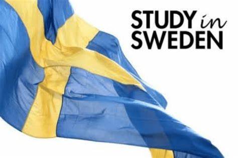 2024/2025 Fully Funded SI Scholarships for Global Professionals | Sweden